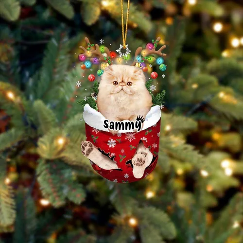 Vista 18 de Adorno personalizado de gato de rizo americano, adorno personalizado con nombre de mascota, colgante acrílico plano impreso en 2D, Papá Noel y gato