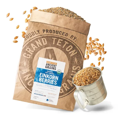 Vista 9 de Grand Teton Ancient Grains - Bayas de Einkorn 100% orgánicas, Farro Piccolo de grado alimenticio premium, bayas de trigo Einkorn, grano Einkorn