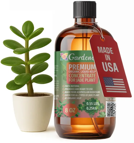 Vista 94 de GARDENERA Superalimento orgánico prémium de algas marinas y algas marinas para plantas AROID - 32 oz - Concentrado de fertilizante líquido de algas