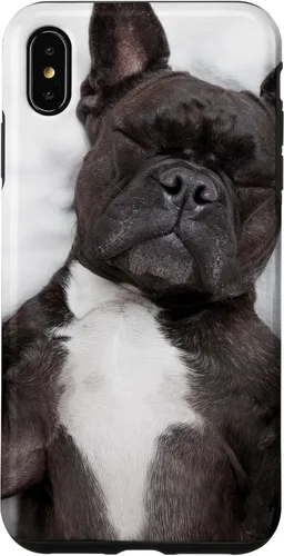Vista 11 de Carcasa gráfica de Bulldog Francés para iPhone 17