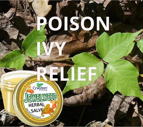 Vista 6 de Creation Farm Jewelweed Balm, remedio de hiedra venenosa, tratamiento de la piel del tarro de té de hierbas para la piel ayuda al tatuaje, alivia