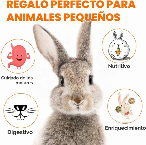 Vista 4 de Sofier Golosinas de Heno Timothy Juguetes para Conejos Juguetes para Conejitos Cobayo Hámster Masticables Naturales para Dientes Hechos a Mano