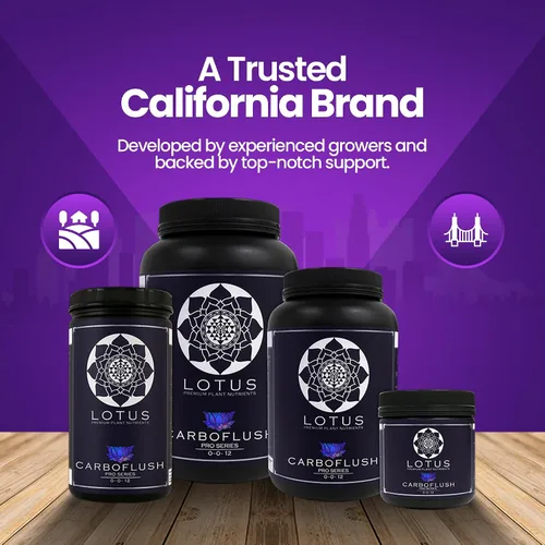Vista 6 de CarboFinish - Edulcorante y enjuague para la etapa de cosecha, mejora la resina, el aceite y la potencia, polvo de nutrientes naturales para suelo