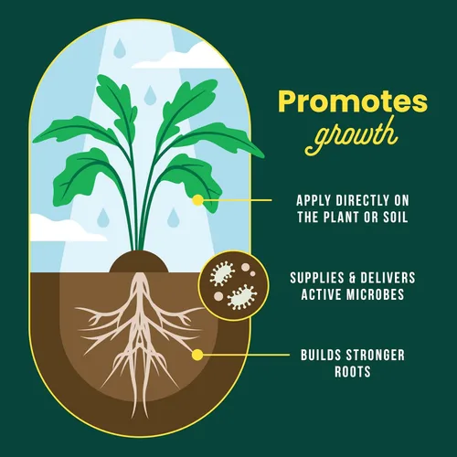 Vista 6 de Sunday Soil Booster - Té de fundición de gusanos, mejora la salud del suelo y promueve el crecimiento vigoroso de las plantas, fabricado