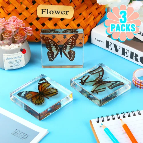 Vista 2 de 3 piezas de espécimen de mariposa real preservada, colección de resina de mariposa taxidermia, pisapapapeles de ciencia animal, muestras