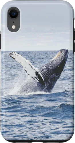 Vista 25 de Whale Case for iPhone 17