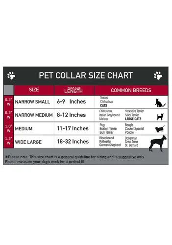 Vista 3 de Collar de plástico para mascota Freddy Krueger de Springwood High Multicolor
