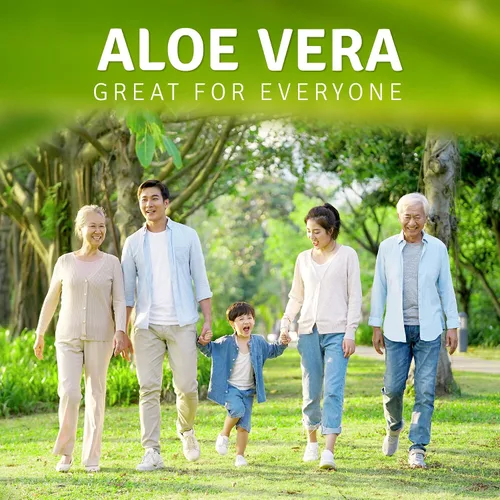 Vista 6 de Aloe Life - Tabletas FiberMate, desintoxicación corporal y suavizante de heces, verduras y hierbas, alivio suave de irregularidad, apoyo digestivo