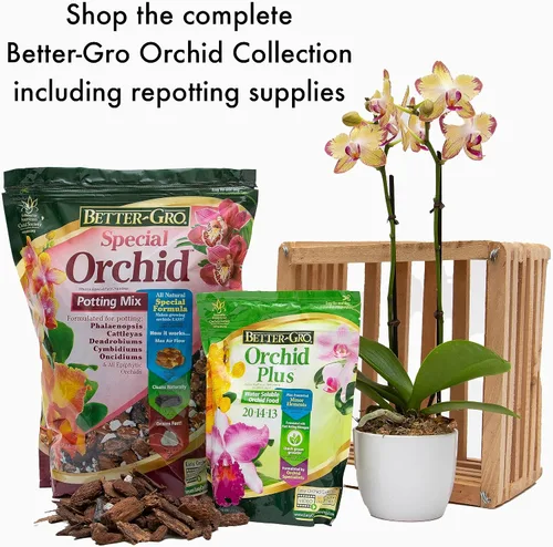 Vista 10 de Better-Gro Mezcla especial de orquídeas – Mezcla para macetas de corteza de orquídeas de primera calidad para macetas, trasplantes, drenaje