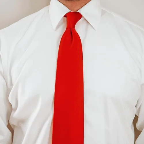 Vista 458 de tiemart Corbata de color sólido para hombre Longitud estándar