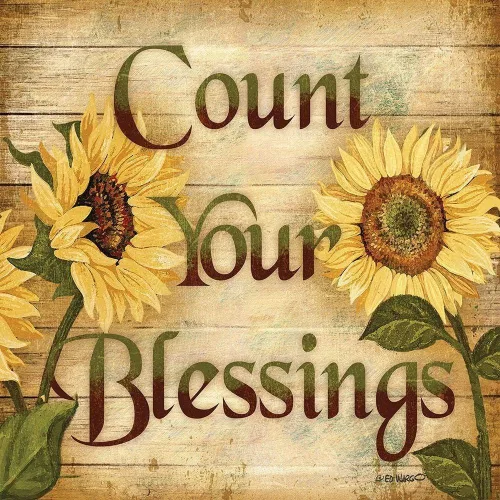 Vista 3 de ArtDirect Count Your Blessings 15x15 Black Modern Wood Framed with Double Matting Museum Art Print by Wargo, Ed