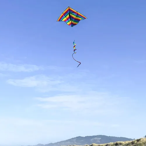 Vista 2 de In the Breeze Printed Delta Kites, Easy-Flying Single Line Kites for Kids & Adults