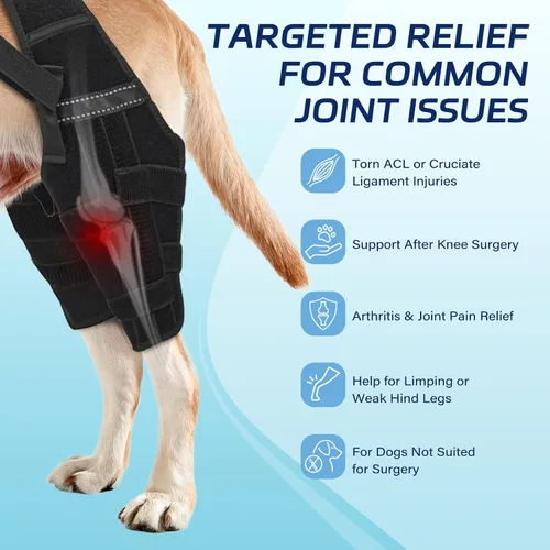 Vista 2 de Dog Knee Brace with Metal Stabilizers for Torn ACL Hind Leg, XS