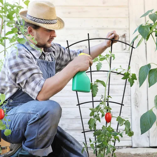 Vista 3 de Enrejado de metal para plantas de 24 pulgadas, soporte para plantas
