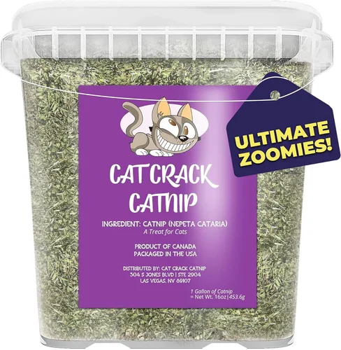 Vista 7 de Cat Crack Hierba Gatera, Mezcla de Hierba Gatera Inductora de Zoomies, Hecha en América del Norte y 100% Natural, Tratamientos de Hierba Gatera
