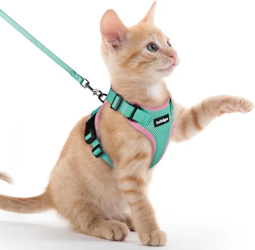 Vista 84 de rabbitgoo Cat Harness and Leash Set, Escape Proof Vest, XXS, Berry Pounce Soft Breathable Mesh, No-choke Adjustable Fit, Snap Buckles, Sturdy