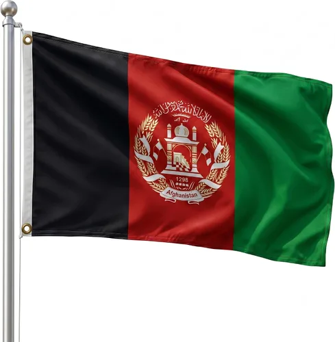 Vista 168 de DMSE - Bandera nacional beninesa beninesa de la República de África Occidental, 2 x 3 pies, 100 % poliéster, 100 % poliéster, resistente a los rayos