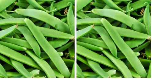 Vista 2 de Semillas de frijol verde italiano Romano Premium para plantar paquete