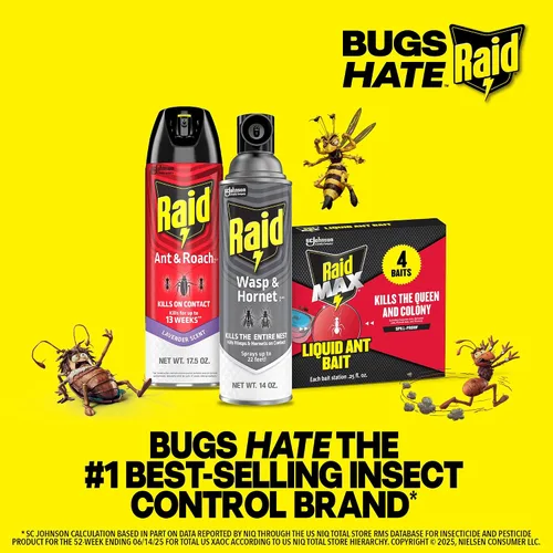 Vista 9 de Raid Ant & Roach Killer - Spray para insectos listados, mata por semanas, aroma a lavanda, 17.5 oz, paquete de 1