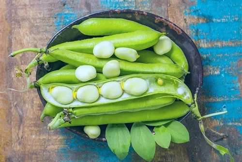 Vista 14 de Semillas de huerto para plantar - Cultiva verduras tradicionales (pimienta de 5 colores)