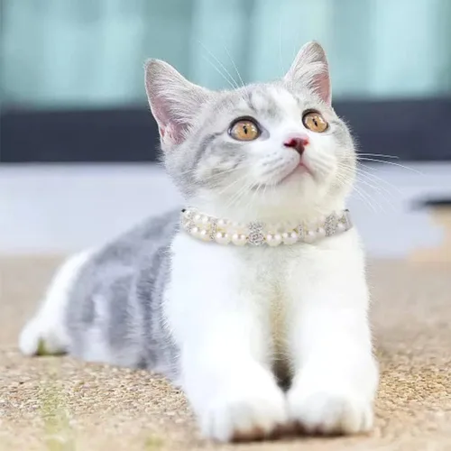 Vista 5 de HOWWFALY Collares de perlas para perros y gatos con diamantes de imitación de cristal, collar de piel sintética, collar ajustable para perros