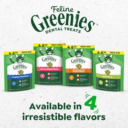 Vista 10 de Greenies Golosinas para gatos, golosinas dentales naturales para gatos adultos recomendadas por veterinarios felinos, sabroso sabor a salmón, bolsa