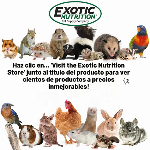 Vista 8 de Silent Runner - Rueda de ejercicio regular de 12 pulgadas, silenciosa, rápida y duradera, deslizadores de azúcar, hámsters, ratas hembras, ratones