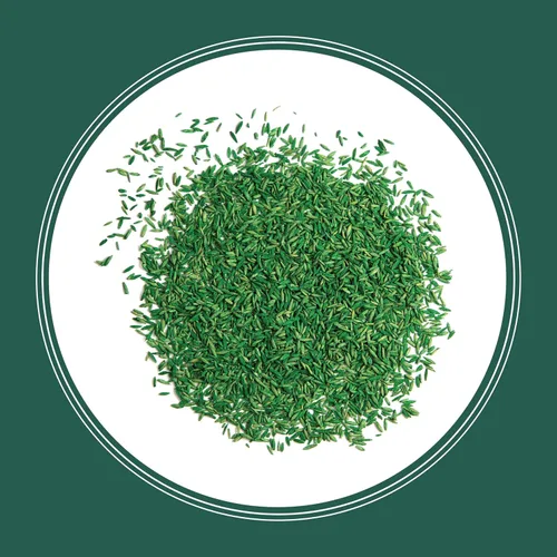 Vista 12 de Pennington Smart Seed - Mezcla de semillas para césped Sun and Shade 20 libras, Etiqueta Negra
