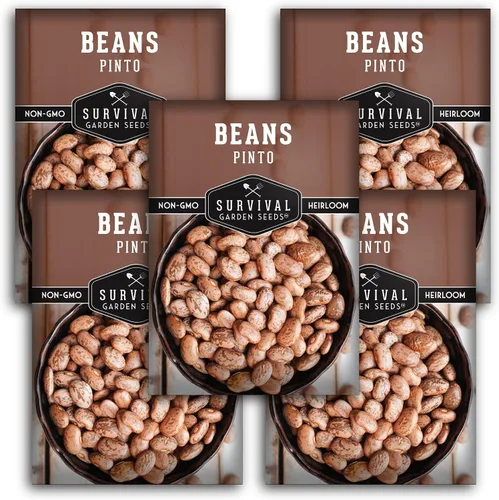 Vista 12 de Semillas de frijol Pinto para plantar, frijoles secos de reliquia, variedad de arbustos de alto rendimiento, cultivo alimenticio rico en proteínas
