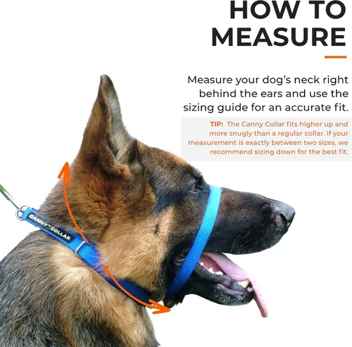 Vista 8 de Canny Gentle - Collar de cabeza de entrenamiento para perros sin tirones, color negro, talla 4 Kind, safe, comfortable & gentle, trains your dog