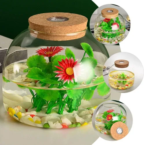 Vista 3 de PATKAW Tarro de terrario de vidrio para plantas suculentas, terrario, botella ecológica con tapa de corcho para suculenta helecho, musgo, plantas