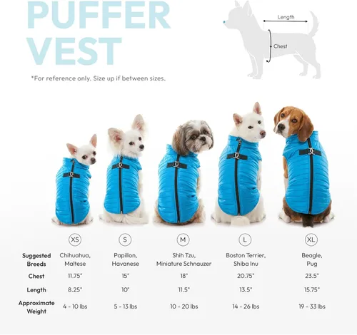 Vista 2 de Gooby Chaleco Acolchado - Azul, X-Small - Rompevientos Ultra Delgado con Cremallera y Doble Anilla en D para Correa - Abrigo Suéter para Perros