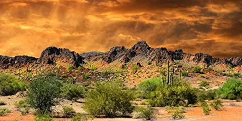 Vista 8 de YongFoto Fondo de fotos de poliéster con vista del desierto de cactus, arbusto verde, rocoso, morado, roca salvaje oeste, paisaje natural, fondo