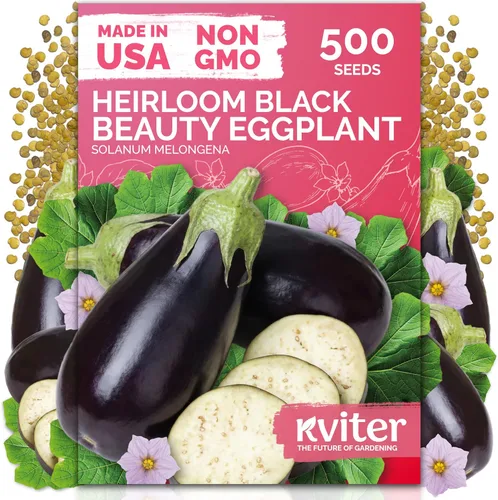 Vista 10 de KVITER 3000 semillas de espinaca egipcias - Molokhia (Corchorus Olitorius) - Hojas de yute, Ewedu, Día de Rau, Semillas de vegetales Saluyot