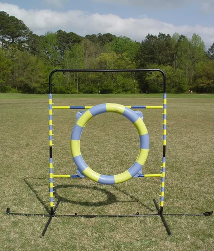 Vista 7 de Salto de neumáticos de agilidad (Hoop Jump)