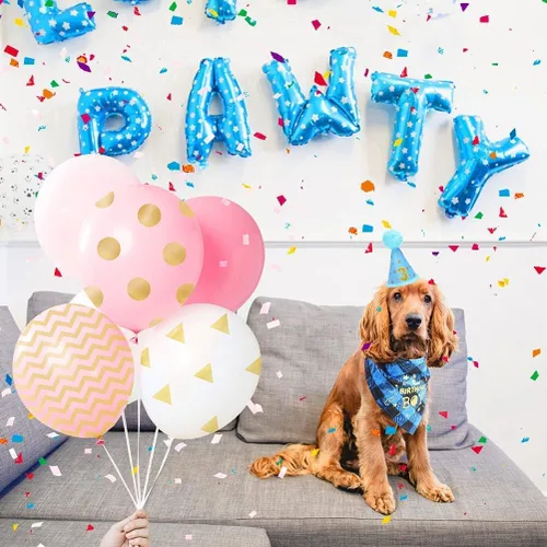 Vista 8 de Mihachi Suministros para fiestas de cumpleaños para perros, bandana y sombrero con número, bufanda triangular para regalo de decoración, perros