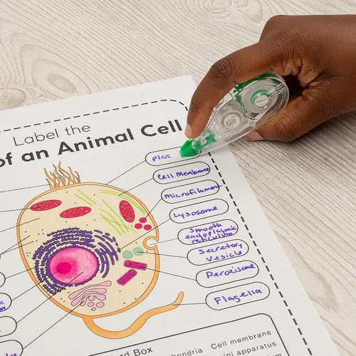 Vista 12 de Tombow Mono mini cinta correctora, Transparente Paquete de 10
