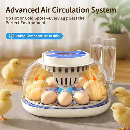 Vista 2 de Incubadora de 12 huevos con pantalla de temperatura y humedad, giro automático de huevos, vela de huevos, recarga automática de agua, para huevos