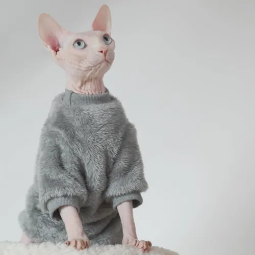 Vista 5 de Sphynx - Ropa para gatos de terciopelo de doble cara, suave y cálida, sin pelo, ropa para gatos para Cornish Rex, Devon Rex, Peterbald, Knnis, Abbey