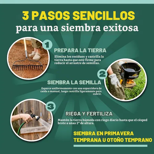 Vista 7 de Pennington Mezcla sin cortar, semillas de hierba de festuca, semillas