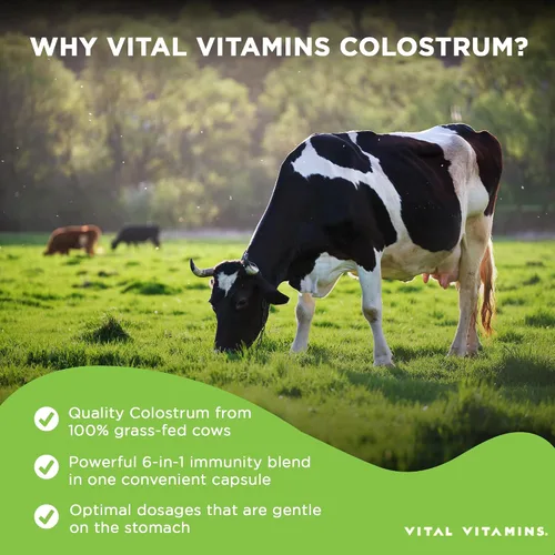 Vista 4 de Vital Vitamins Polvo de péptidos de colágeno múltiple + cápsulas de calostro con vitamina C, zinc