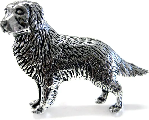 Vista 2 de dorado Retriever perro Gemelos