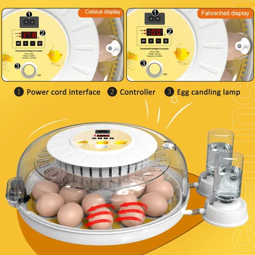 Vista 6 de 18 incubadoras de huevos para incubar huevos, volteador automático de huevos y probador de velas de huevos, vista de 360 grados, incubadora