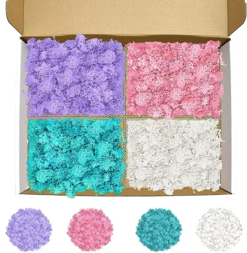Vista 34 de Musgo de reno azul de 3.5 onzas, musgo preservado para plantas, decoración de musgo, musgo verde para manualidades, musgo para plantas en maceta
