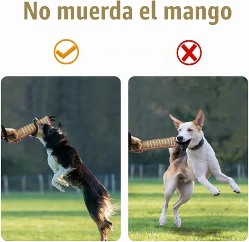 Vista 5 de Juguetes interactivos de agua para perros Rojo