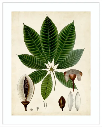 Vista 8 de Amanti Art Vision Studio - Lienzo decorativo para pared, 24 x 20 pulgadas, follaje verde VII por Vision Studio, arte de pared de naturaleza