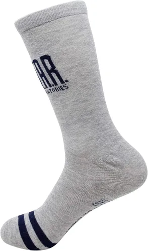 Vista 3 de Flash Calcetines grises The S.T.A.R. Labs, Gris