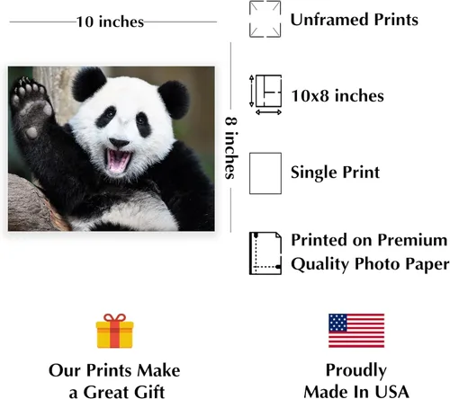 Vista 2 de AMERICAN LUXURY GIFTS Happy Panda Waving Hi - Divertido arte de pared de animales para habitación de niños, decoración de guardería, impresión sin
