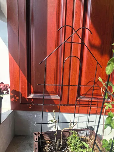 Vista 5 de ARIFARO Enrejado de metal de 24 pulgadas para plantas trepadoras, paquete de 4 enrejados para plantas en maceta, enrejado negro para interiores
