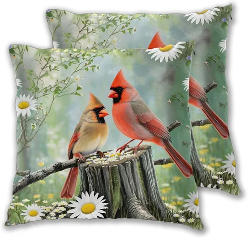 Vista 21 de Juego de 2 fundas de almohada para sofá, oficina, dormitorio, decoración del hogar, 16 x 16 pulgadas